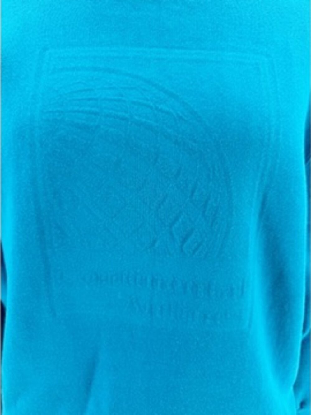 Vtg 80s Continental Airlines Blue Crewneck Sweatshirt Fruit of the Loom Size M - Picture 2 of 8